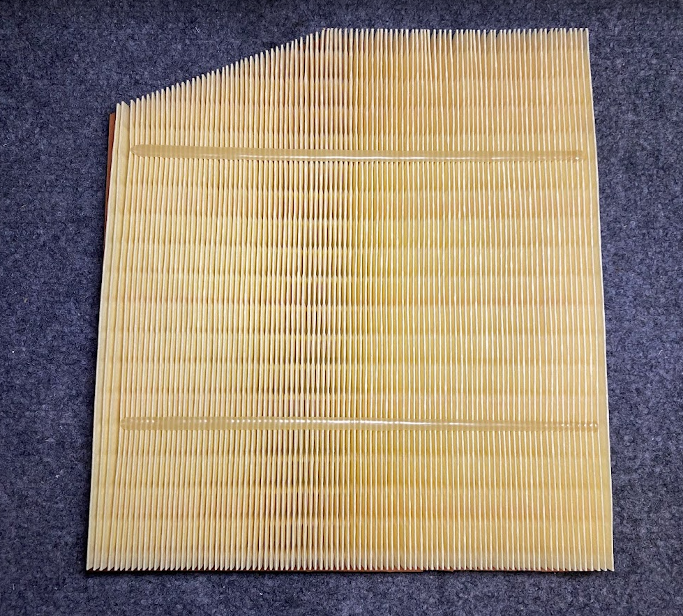 MANN Air Filter - C29028 / 13717599285 - For BMW 335i, 135i, X1, 135is & More