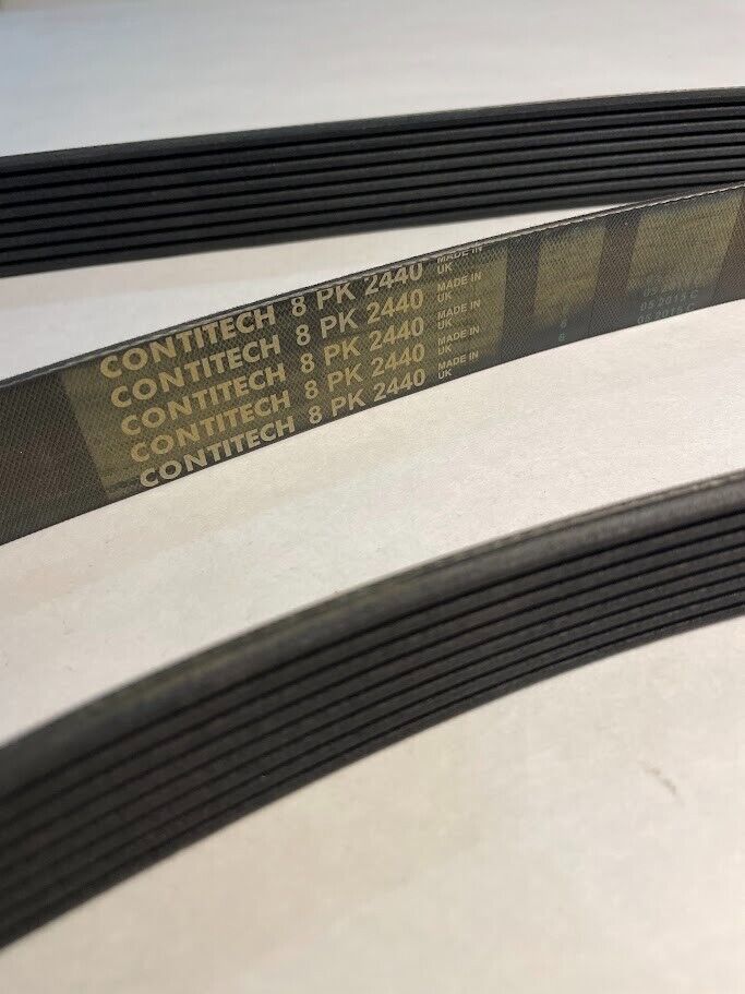 Continental V-Belt - 8PK2440 / 009-997-96-92 - For Mercedes-Benz 300SE (1992-93)